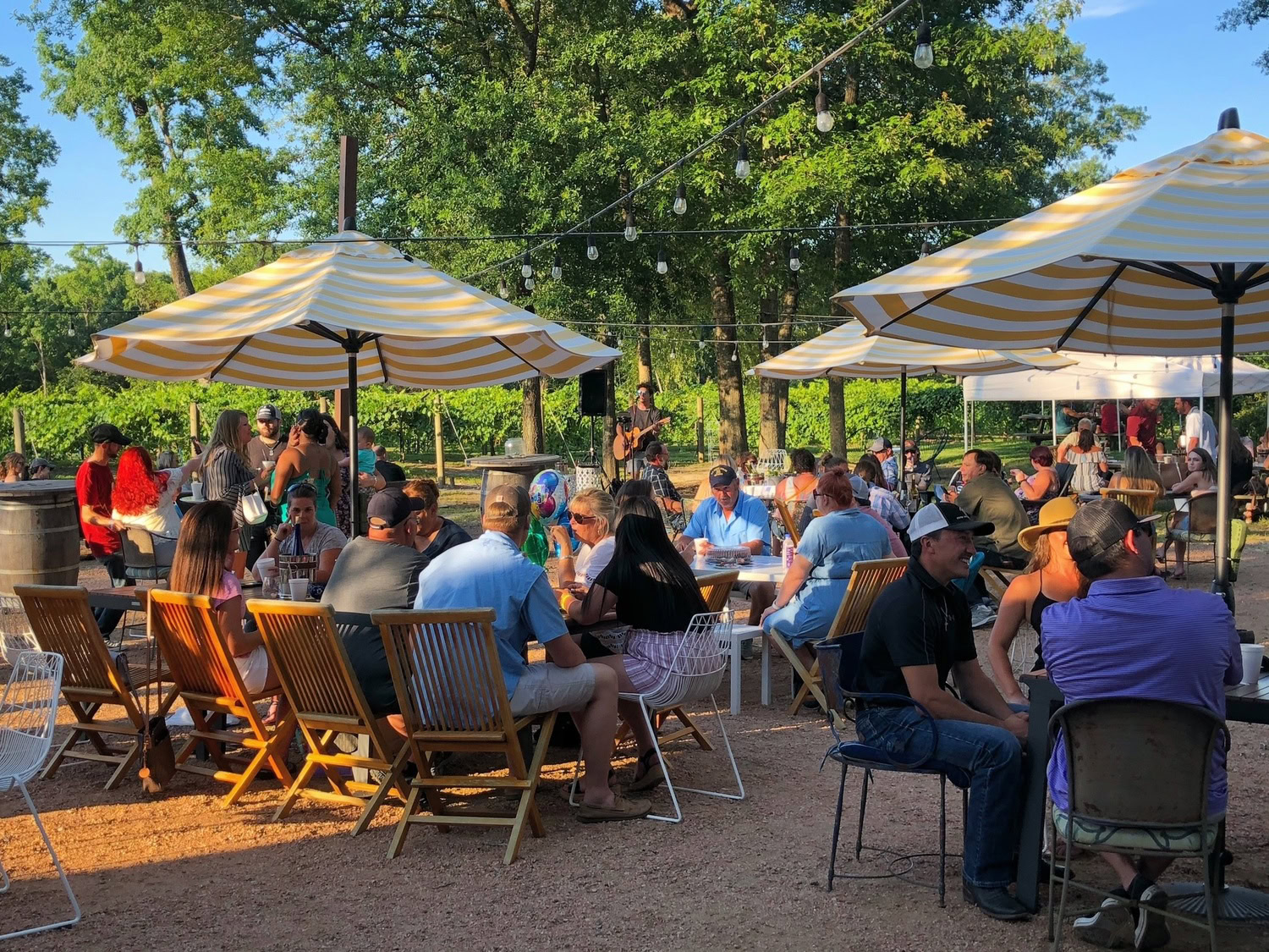 Outdoor dining event with people enjoying food, live music, and socializing under large umbrellas in a park setting.